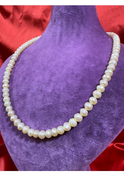 Inci Kolye fiyatları