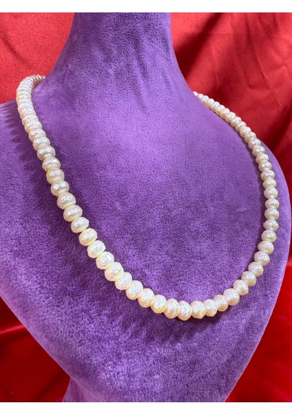 Inci Kolye fırsatları