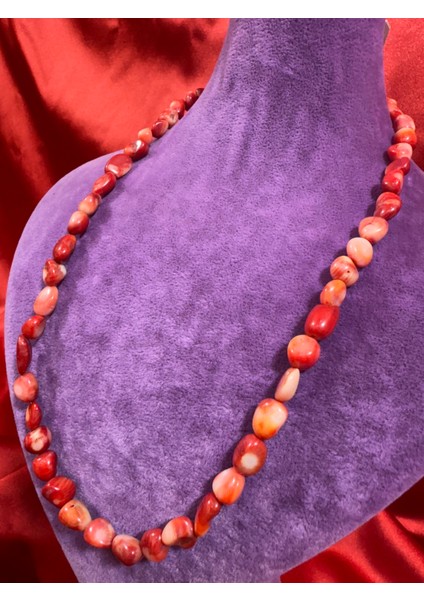 Mercan Kolye fırsatları