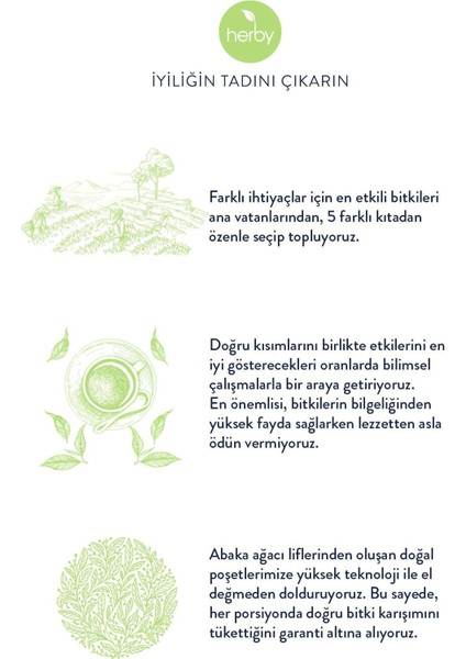 Detox Bitki Çayı 4x20 Poşet – Isırgan, Kiraz Sapı, Biberiye, Mate, Yeşil Çay, Nane, Zencefil – Doğal Ferahlatıcı ve Arındırıcı Karışım