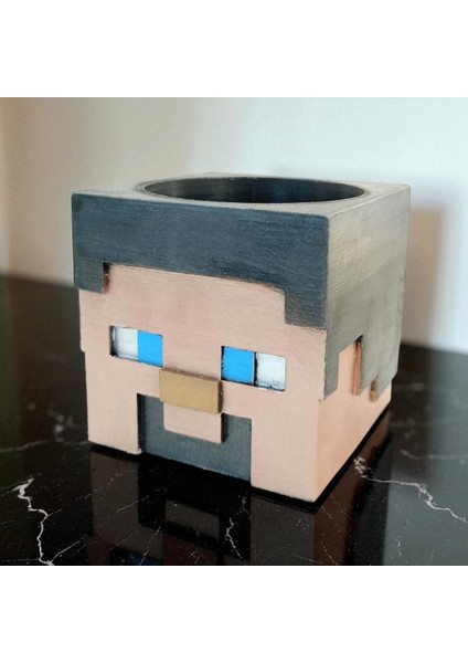 Minecraft Steve Tasarımlı Kalemlik - Koleksiyonluk Vip fiyatları