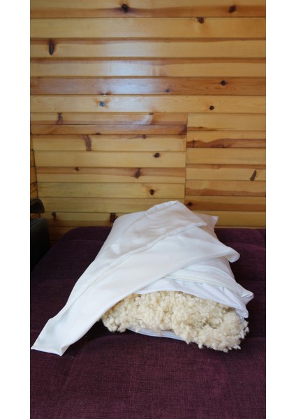 Kırışıklık Karşıtı Güzellik Yastığı El YAPIMI%100 Yün DOLGULU,%100 Doğal Ipek Yastık Kılıfı ile Cilt Dostu, Saç Dostu Yastık Anti Aging Uyku Yastığı Nefes Alabilir ve Lüks Uyku Konforu indirimleri