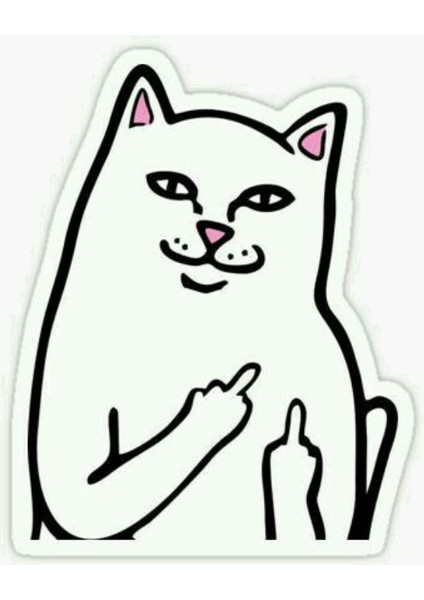 Kedi Orta Parmak Sticker – Mizahi Tasarım