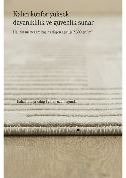 Modern Oturma Odası Halısı Salon Halısı Yolluk Bej Halı Hav Toz Vermez Kolay Temizlenebilir Halı fırsatları