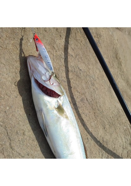 Sardin 20GR 60MM Jig Yem Kaşık Rapala -Levrek, Palamut, Lüfer, Çinekop, Turna Için En Iyi Uv Jig Yem modelleri