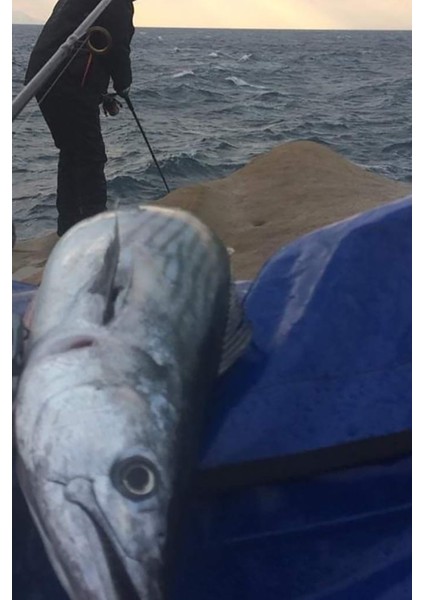 Sardin 20GR 60MM Jig Yem Kaşık Rapala -Levrek, Palamut, Lüfer, Çinekop, Turna Için En Iyi Uv Jig Yem indirimleri