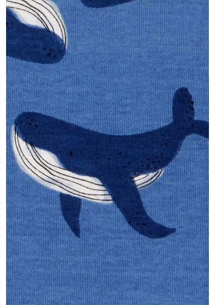 Erkek Bebek Pijama Set 4'lü Paket fiyatları