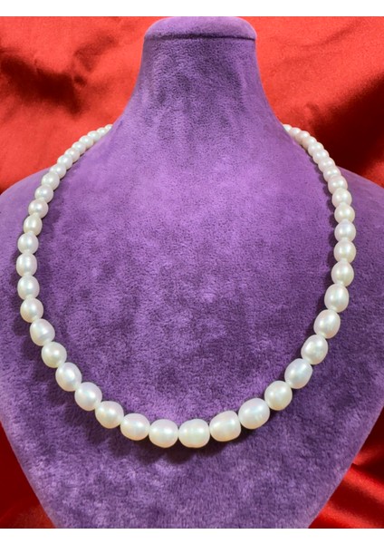 Inci Kolye fiyatları