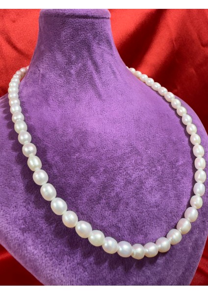 Inci Kolye fırsatları