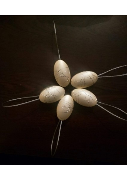 Mıknatıslı Perde Mandalı (Perde Toplama) 5 Adet