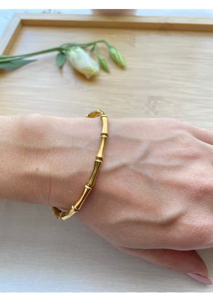 316L Çelik Altın Renk Kemik Bileklik fiyatları