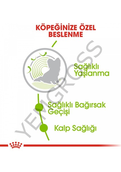 X-Small Ageing 12 Yaş Üzeri Yaşlı Köpek Maması 1.5 Kg modelleri