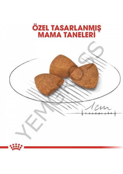 X-Small Ageing 12 Yaş Üzeri Yaşlı Köpek Maması 1.5 Kg fırsatları