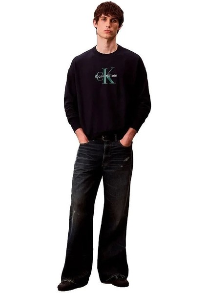 Uzun Kollu Penye Monologolu Bisiklet Yaka Erkek Sweatshirt LV04RD242G-CEF modelleri