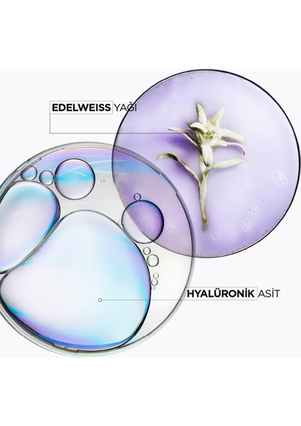 Blond Absolu Bain Lumiere Işlem Görmüş Sarı Saçlar Için Parlaklık Veren Şampuan 250 ml 250 ml fırsatları