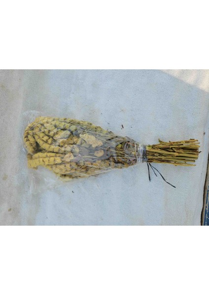 Ada Cayı fiyatları