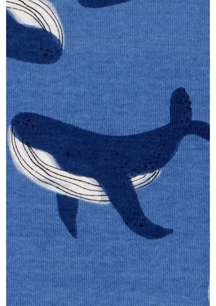 Küçük Erkek Çocuk Pijama Set 4'lü Paket fiyatları