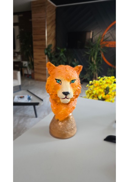 Frefly Store 35X10 cm Kaplan Başı Biblosu modelleri