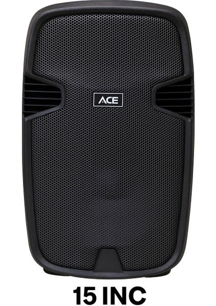 15 Inch Aktif Kabin Şarjlı