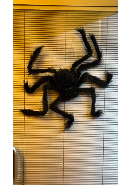 50 cm Tüylü Siyah Örümcek Dekor | Cadılar Bayramı Süsü