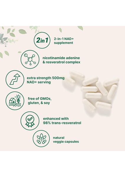 Nad Nicotinamide Adenine Dinucleotide 500 Mg With %98 Trans Resveratrol 240 Kapsul modelleri