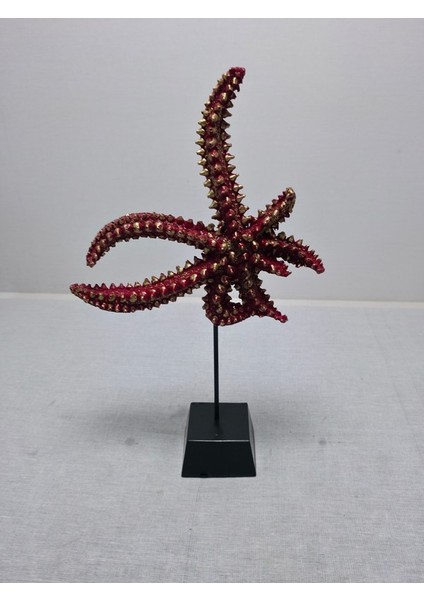 Frefly Store Deniz Yıldızı Biblo, Polyester, Turuncu, 40X20CM