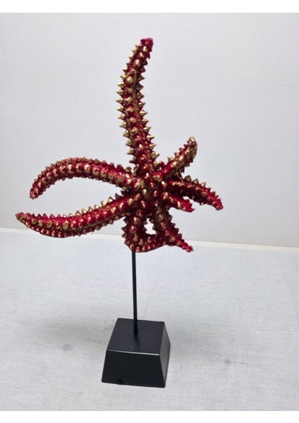 Frefly Store Deniz Yıldızı Biblo, Polyester, Turuncu, 40X20CM fiyatları