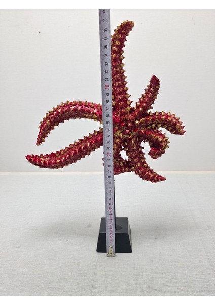 Frefly Store Deniz Yıldızı Biblo, Polyester, Turuncu, 40X20CM fırsatları