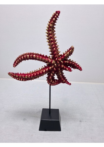 Frefly Store Deniz Yıldızı Biblo, Polyester, Turuncu, 40X20CM indirimleri