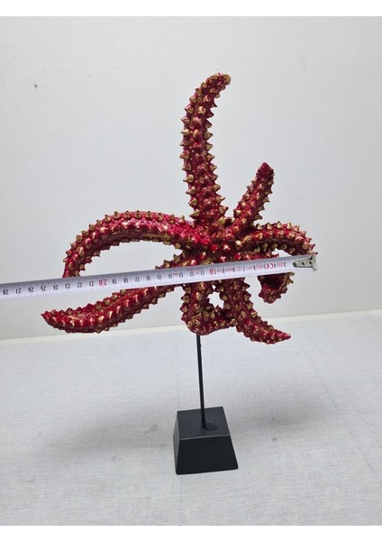 Frefly Store Deniz Yıldızı Biblo, Polyester, Turuncu, 40X20CM