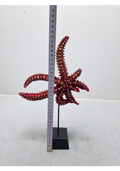 Frefly Store Deniz Yıldızı Biblo, Polyester, Turuncu, 40X20CM