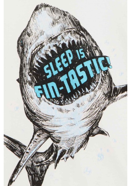 Erkek Çocuk Pijama Set 4'lü Paket fiyatları