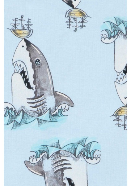 Erkek Çocuk Pijama Set 4'lü Paket modelleri