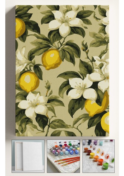 Sayılarla Boyama Çerçeveli Hobi Seti Numaralı Tuval Fırça Boya Dahil Kasnaklı 40X50 cm Limon