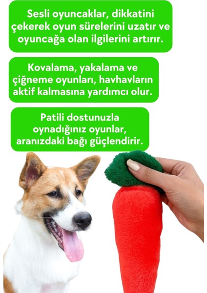 Peluş Havuç Sesli Köpek Oyuncağı – Hışırtılı, Ergonomik, Köpek Uyku/Oyun Arkadaşı