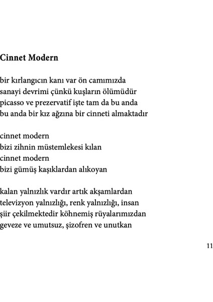 Amerika Sen Busun - İsmail Kılıçarslan