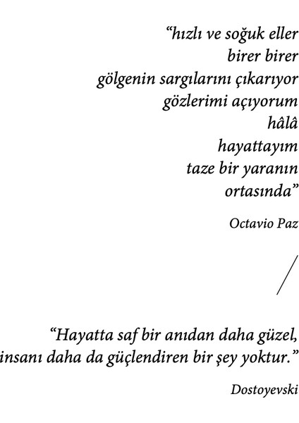 The Book of Tahini (Ciltli) - Aykut Ertuğrul fırsatları