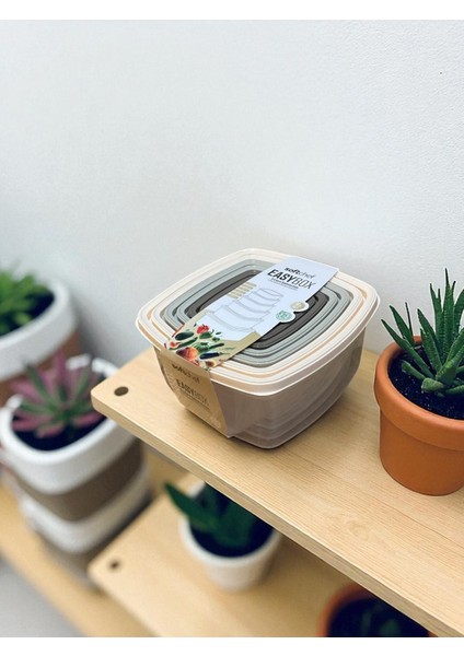 Kare Saklama Kabı Seti – 6 Parça, Farklı Boylarda, Şeffaf, Renkli Kapaklar, Şık Tasarım, Yerden Tasarruf indirimleri