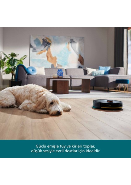 2000 Serisi XU2000/15 Islak & Kuru robot Süpürge indirimleri