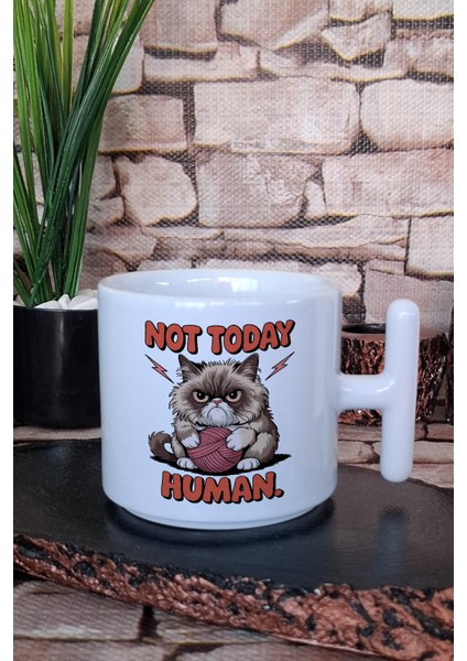 Kedi Komik Esprili Kedisever Eğlenceli Hediyelik Baskılı T Kulplu Latte Fincanı Kupa Bardak