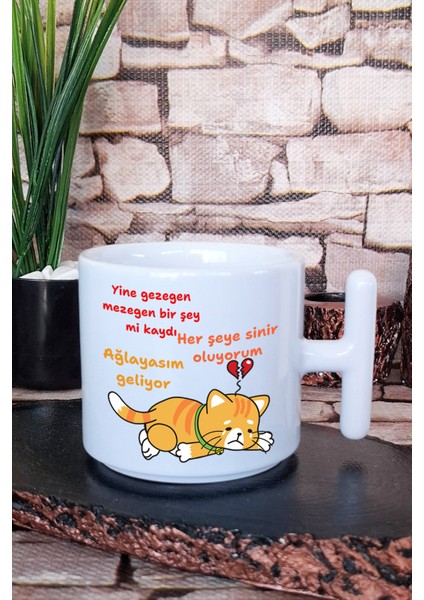 Ağlayasım Geliyor Baskılı Eğlenceli Hediyelik T Kulplu Latte Fincanı Kupa Bardak