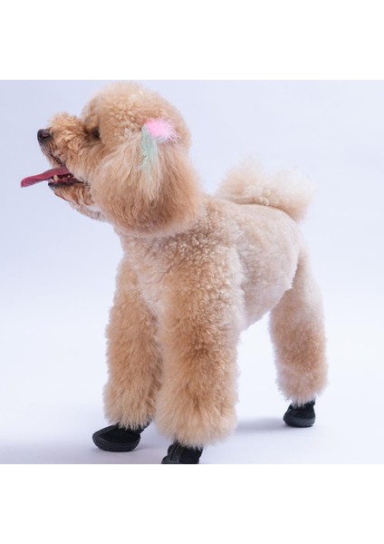 Siyah Airmesh Fileli Hava Alabilen Köpek Ayakkabısı-Köpek Patiği modelleri