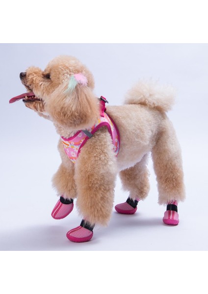Pembe Airmesh Fileli Hava Alabilen Köpek Ayakkabısı-Köpek Patiği fırsatları