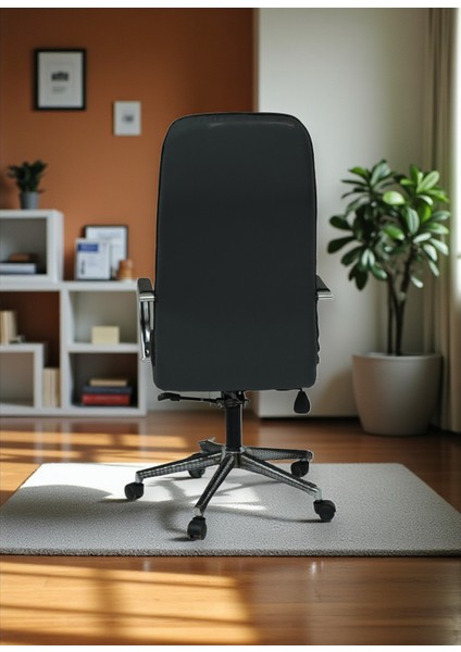 Ev ve Ofis Çalışma Sandalyesi fiyatları