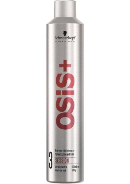 + Session Ekstra Tutucu Sprey 500ML