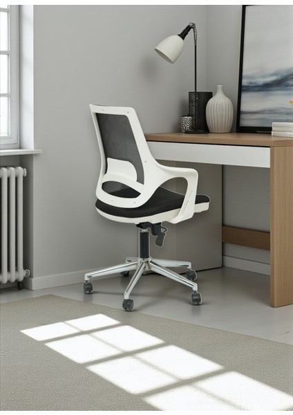 Desemo Çalışma Koltuğu fırsatları