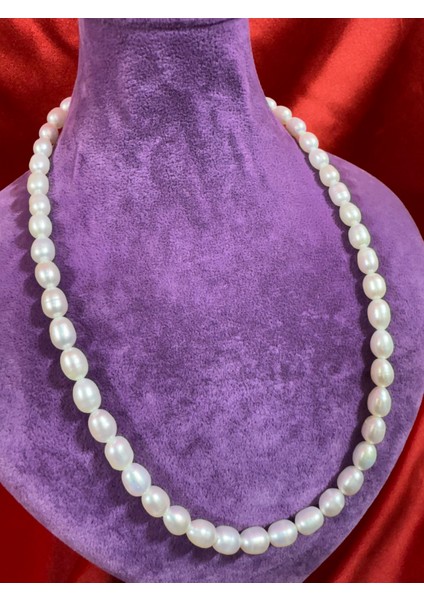 Inci Kolye fiyatları