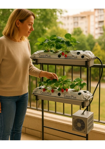 Topraksız Tarım Çilek Yetiştirme Hobi Seti | Ev Tipi Başlangıç Kiti – 39 Gözlü