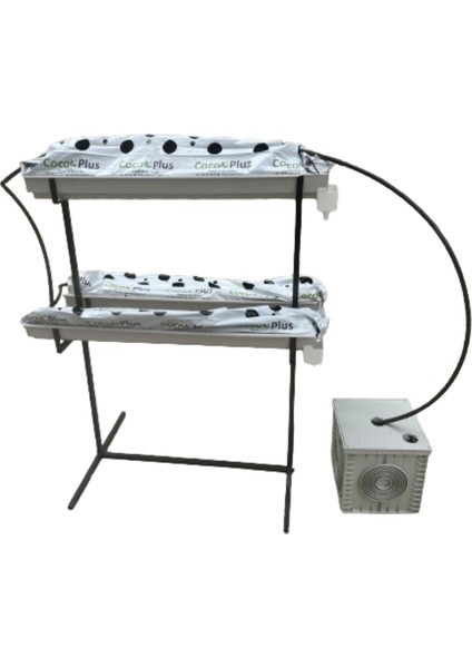 Topraksız Tarım Çilek Yetiştirme Hobi Seti | Ev Tipi Başlangıç Kiti – 39 Gözlü