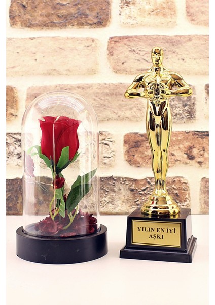 Yılın En Iyi Aşkı Oscar Ödülü ve LED Işıklı Fanus Gül Seti